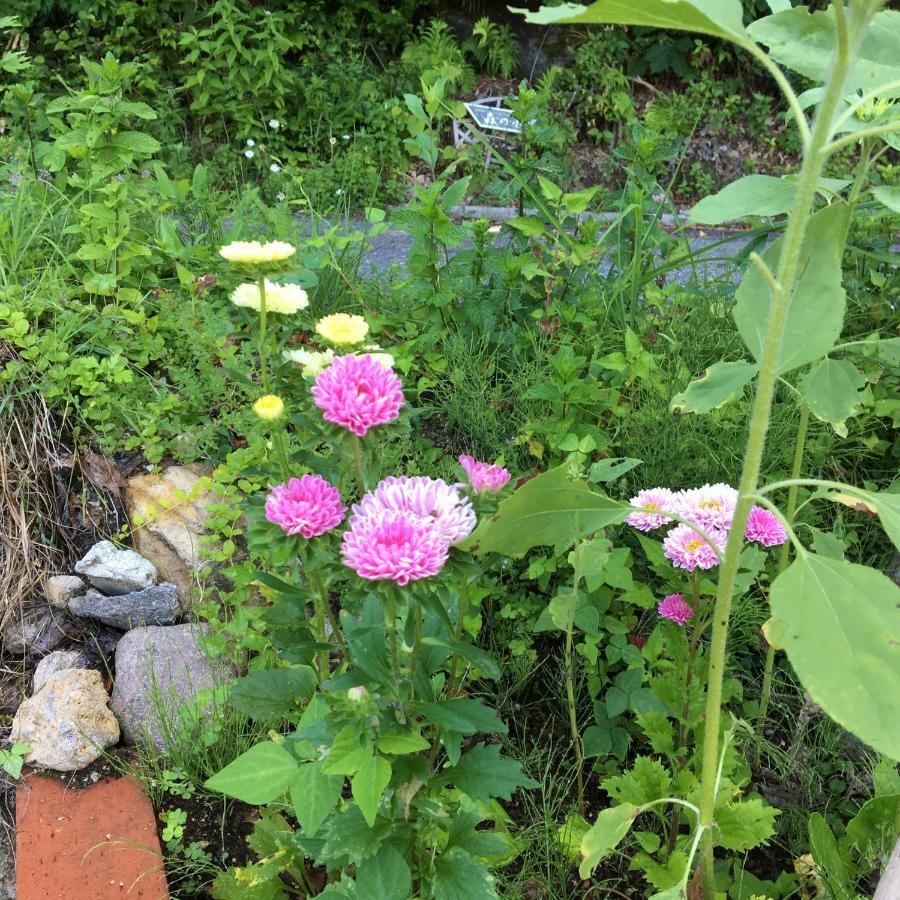 Pension ぽかぽか（Poka Poka） Katashina ภายนอก รูปภาพ